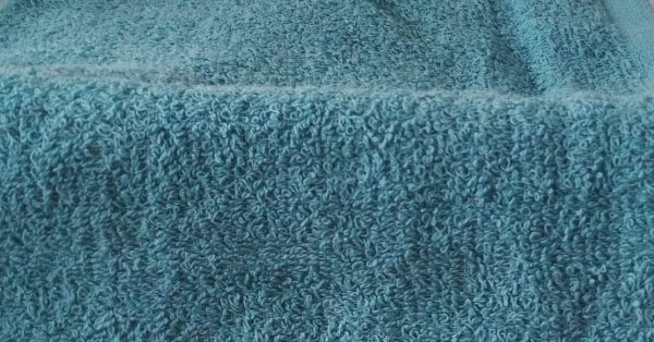 Egyptian Guest Towel Duck Egg