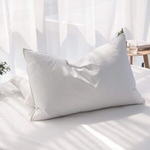 DUCK FEATHER STD PILLOW